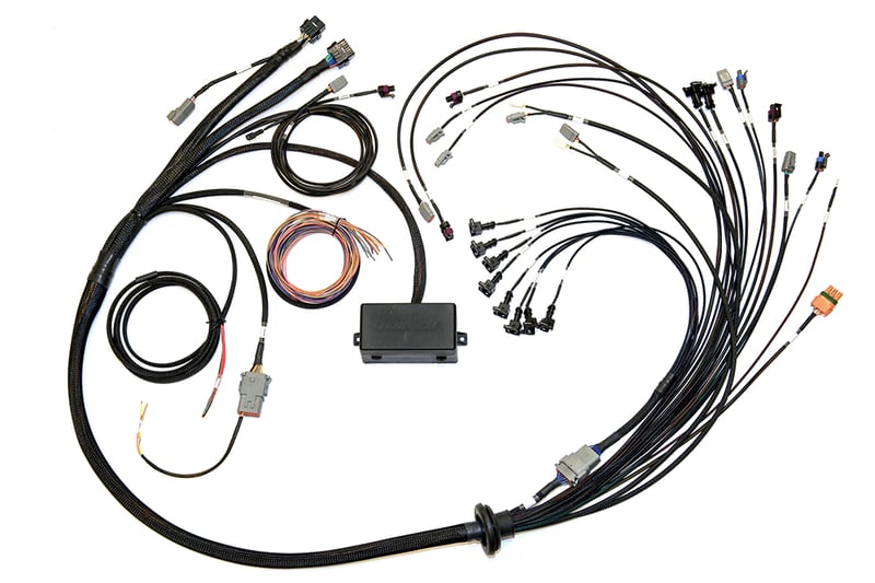Elite ECU Terminated Engine Harnesses